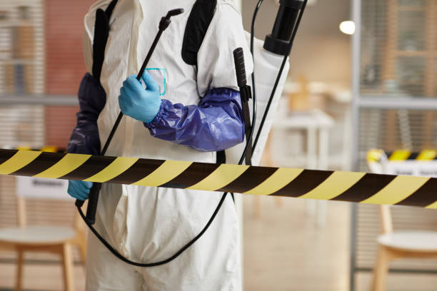 Professional Blood Cleanup technician working in Springville, NY