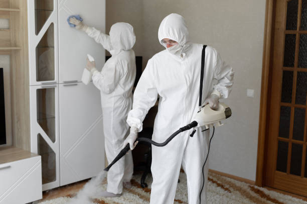 Trusted Sewage Cleanup service in Springville, NY - Four Month Blood Cleanse