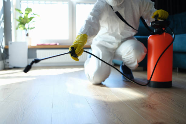 Trusted Sewage Cleanup service in Springville, NY - Four Month Blood Cleanse